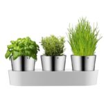WMF HERB GARDEN 3'LÜ SAKSI
