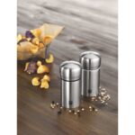 ZWILLING SPİCES TUZ VE KARABİBER DEĞİRMENİ | METALİK GRİ | PASLANMAZ ÇELİK | 11 CM - Görsel 2