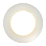 Haviland Souffle d’Or Servis Tabak
