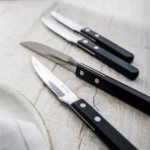 Robert Welch Trattoria Bright Biftek Bıçağı, 6'lı Set TRABR1012V/6 - Görsel 2