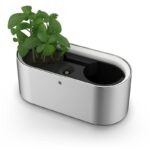 WMF Ambient Herbs @ Home
