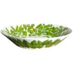 Taitu Fil Rouge Foglie Fine Bone 32Cm Salata Kasesi
