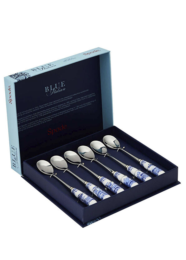 s3 Spode Blue Italian 6lı Çay Kaşığı Seti - Görsel 1